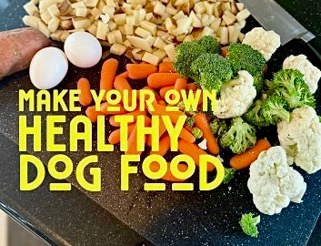 Healthy Homenade Food for Your Adventure Dog