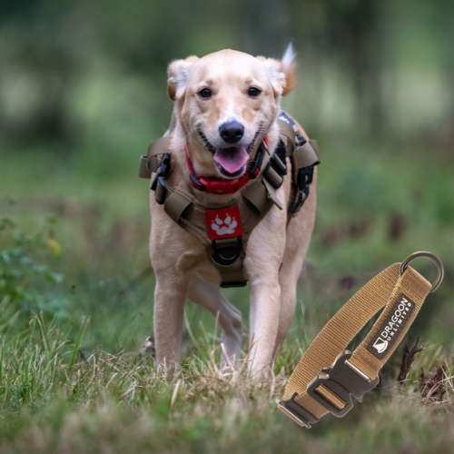 Adventure Collar