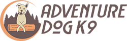 Adventure Dog k9