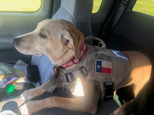 ADK9 “Air” Mesh Dog Vest Harness