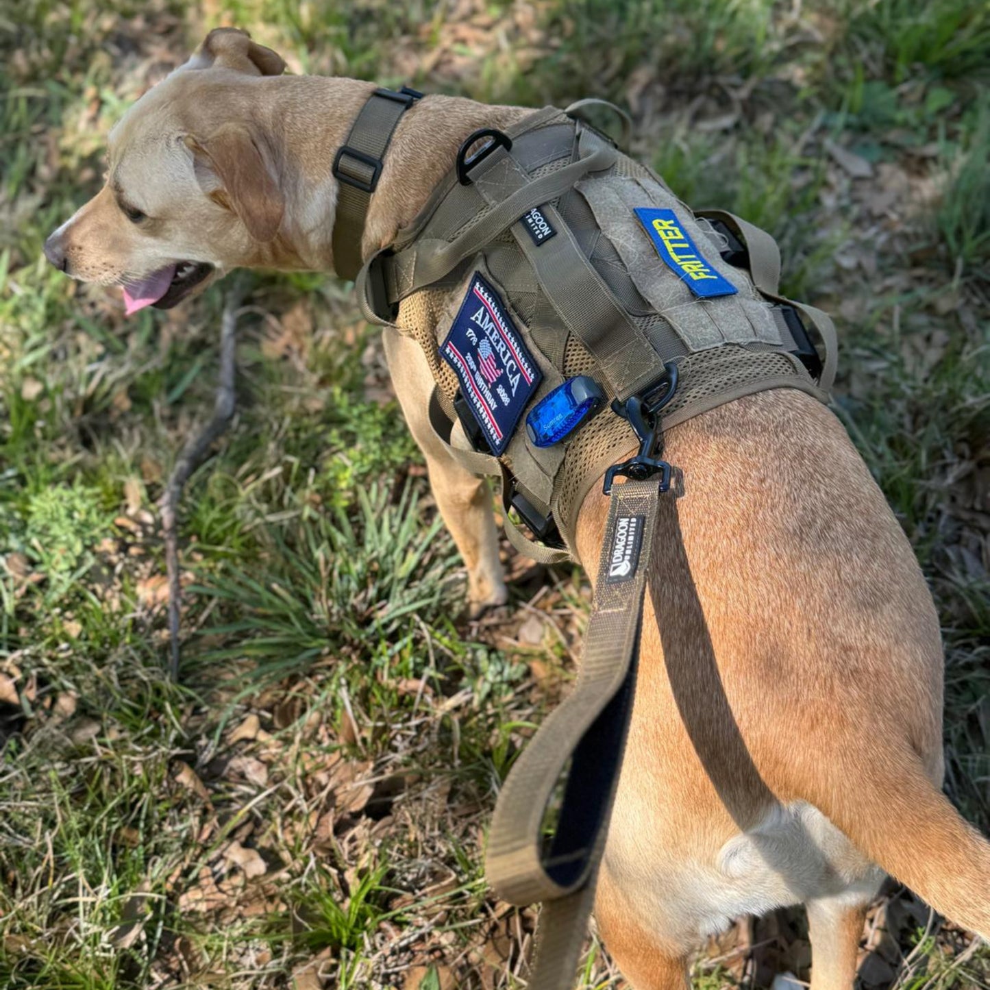 ADK9 Dog Hiking Leash