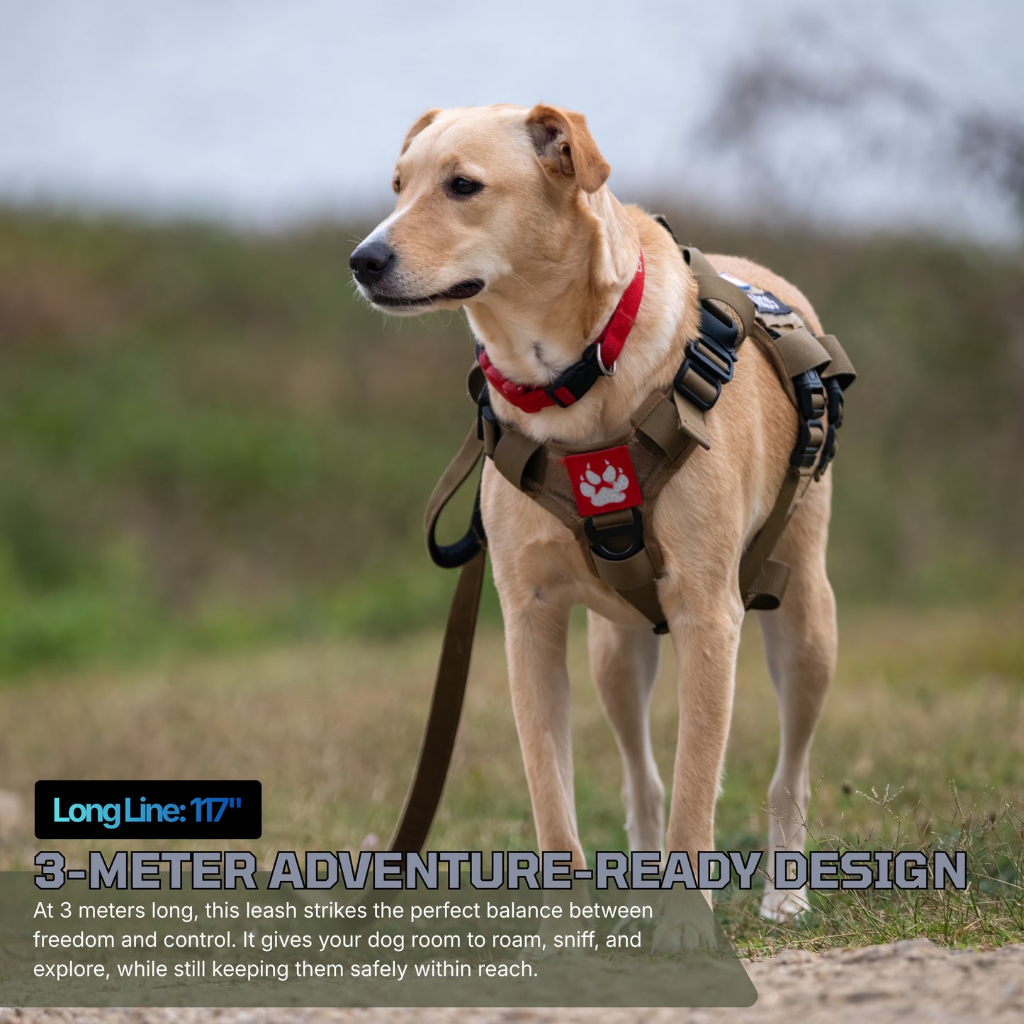 ADK9 Dog Hiking Leash