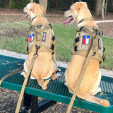 ADK9 Dog Hiking Leash