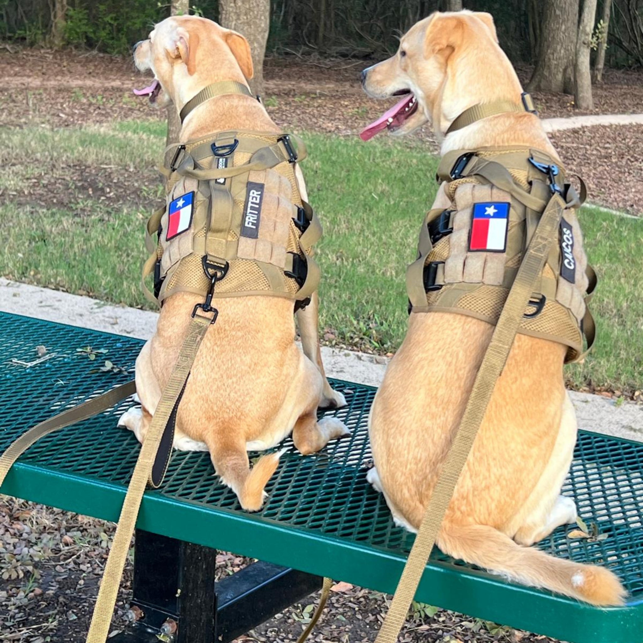 ADK9 Dog Hiking Leash