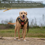 ADK9 Dog Hiking Leash