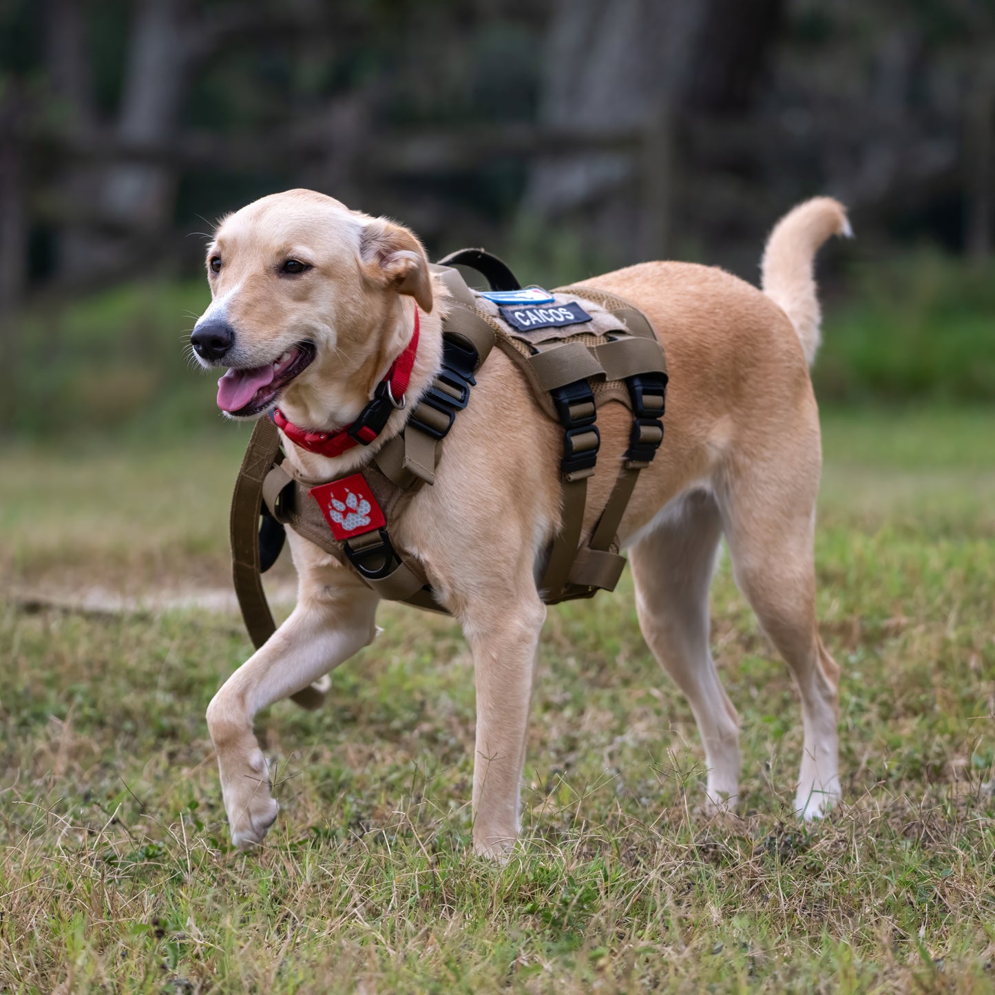 ADK9 “Air” Mesh Dog Vest Harness