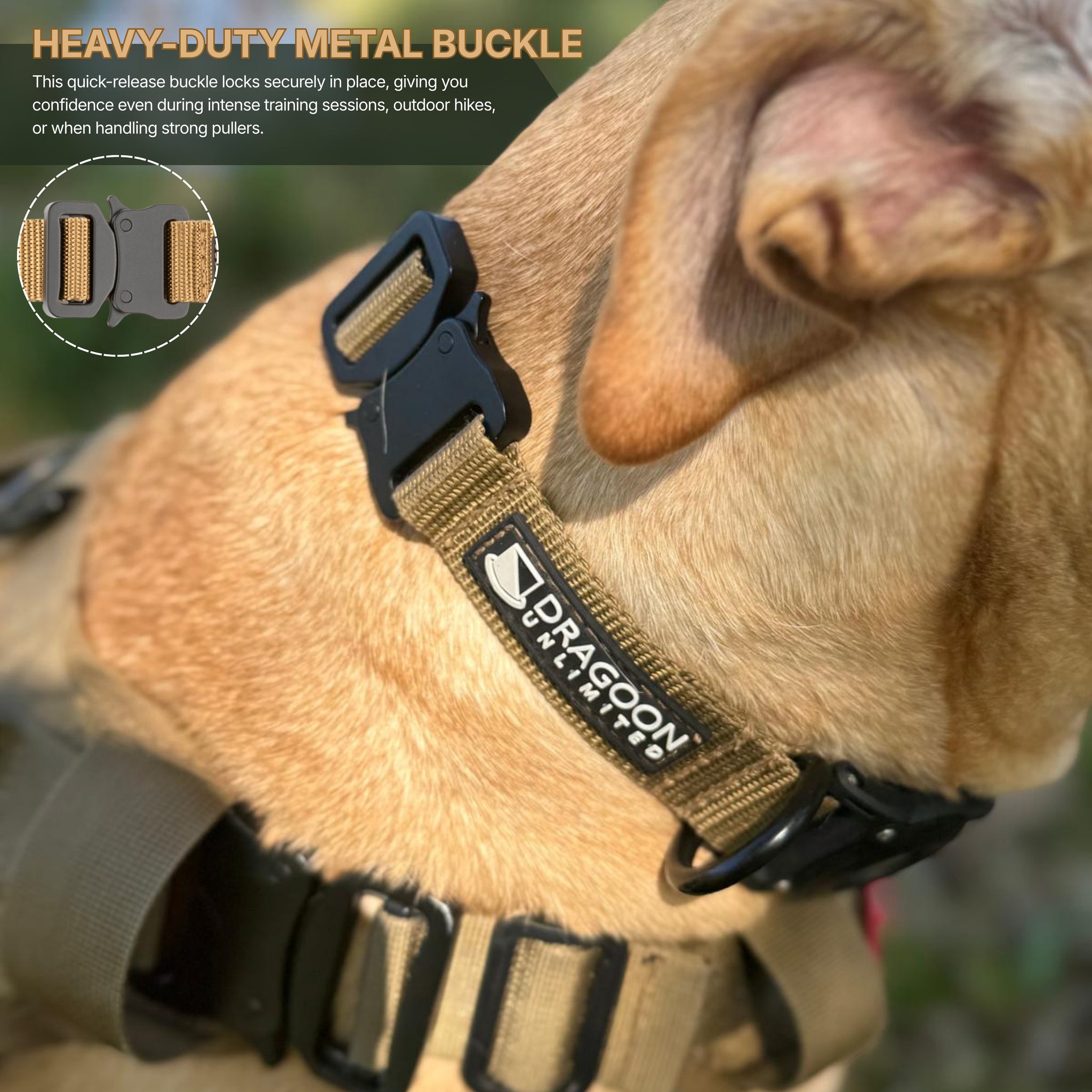 ADK9 Explorer Dog Collar