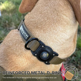 ADK9 Explorer Dog Collar