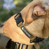 ADK9 Explorer Dog Collar