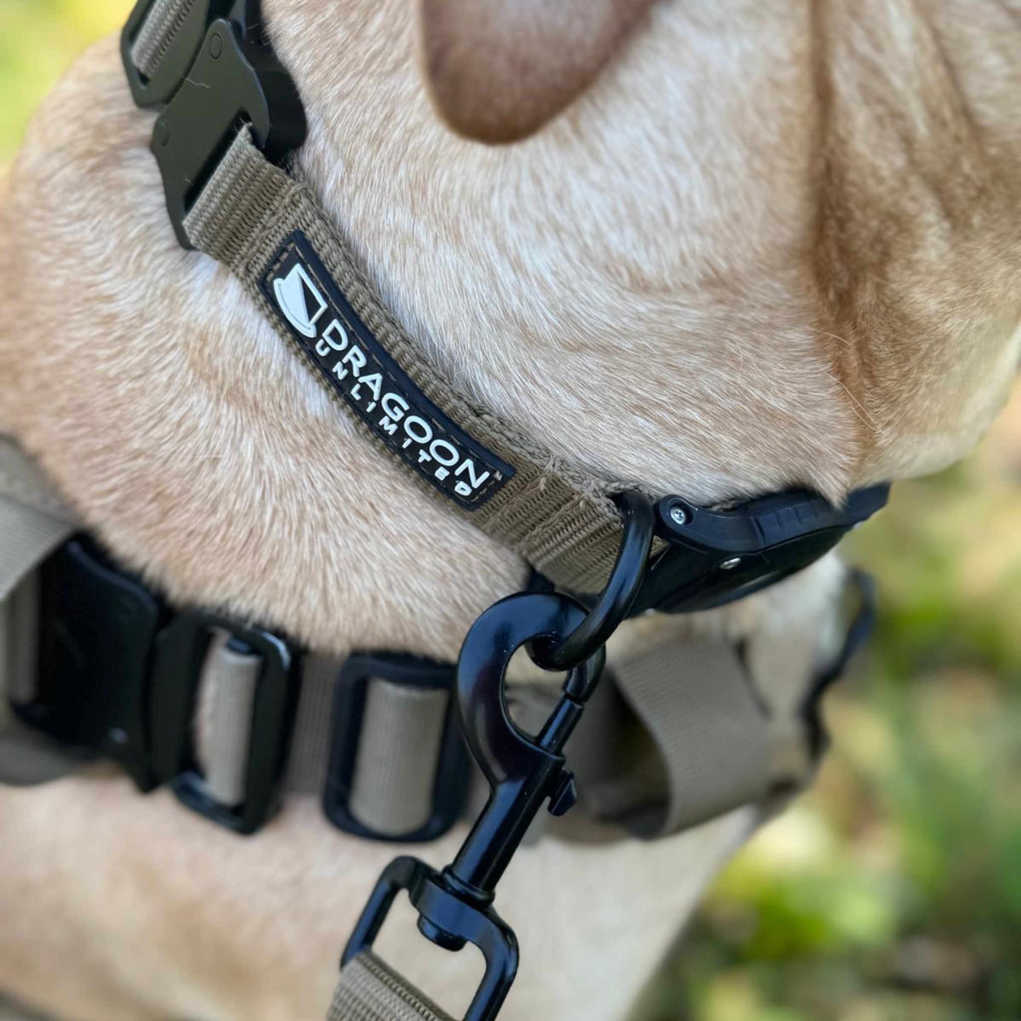ADK9 Explorer Dog Collar