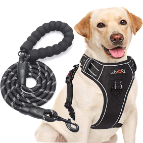 Hiking Leash